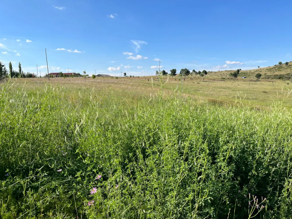 Vacant land sold in Fouriesburg - 1CS1723632 Vacant land sold in Fouriesburg - 1CS1723632