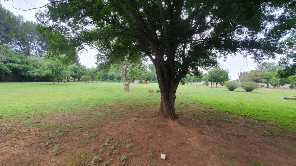 Smallholding for sale in Glen Donald - 1VT1723701