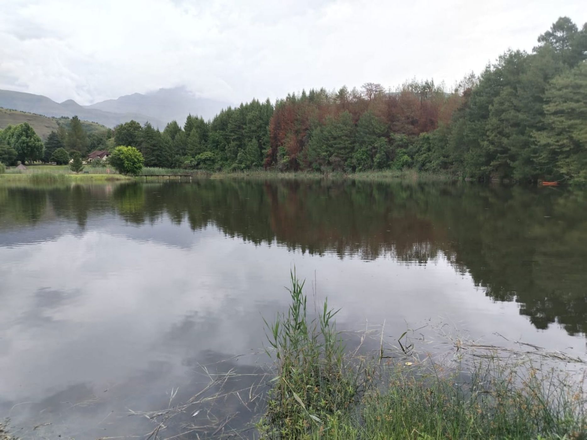 House for sale in Cathkin Park - 1PM1723815