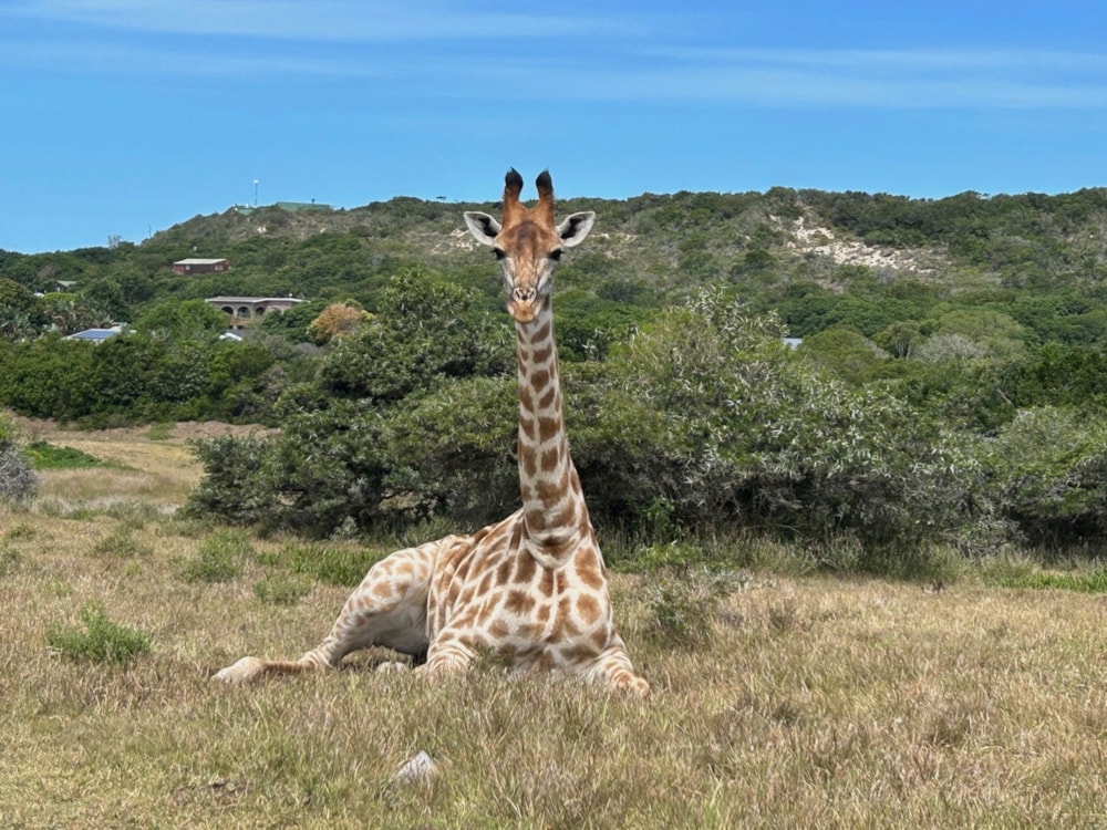 House for sale in Boesmansriviermond - 1KO1723796 House for sale in Boesmansriviermond - 1KO1723796