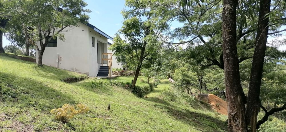 Commercial business for sale in Nyanga, Zimbabwe - 3ZB1723864