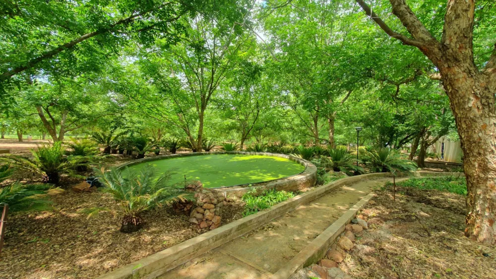 Nut farm for sale in Vredefort - 1VT1724269