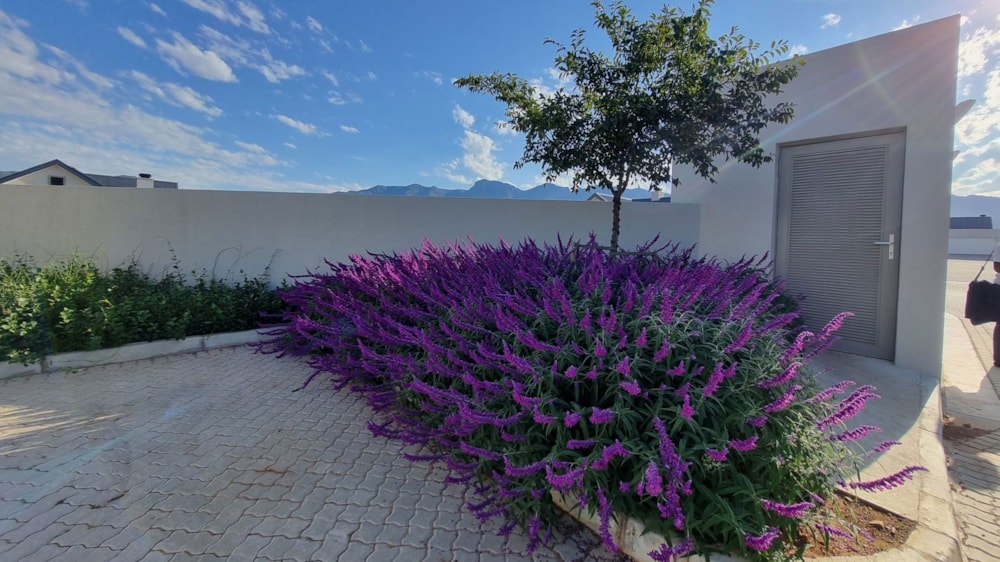 Residential vacant land for sale in Robertson - ROB1724209