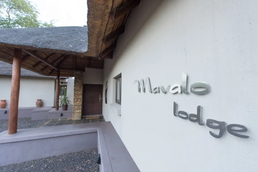 House to rent in Zandspruit Bush & Aero Estate - 1HS1724188