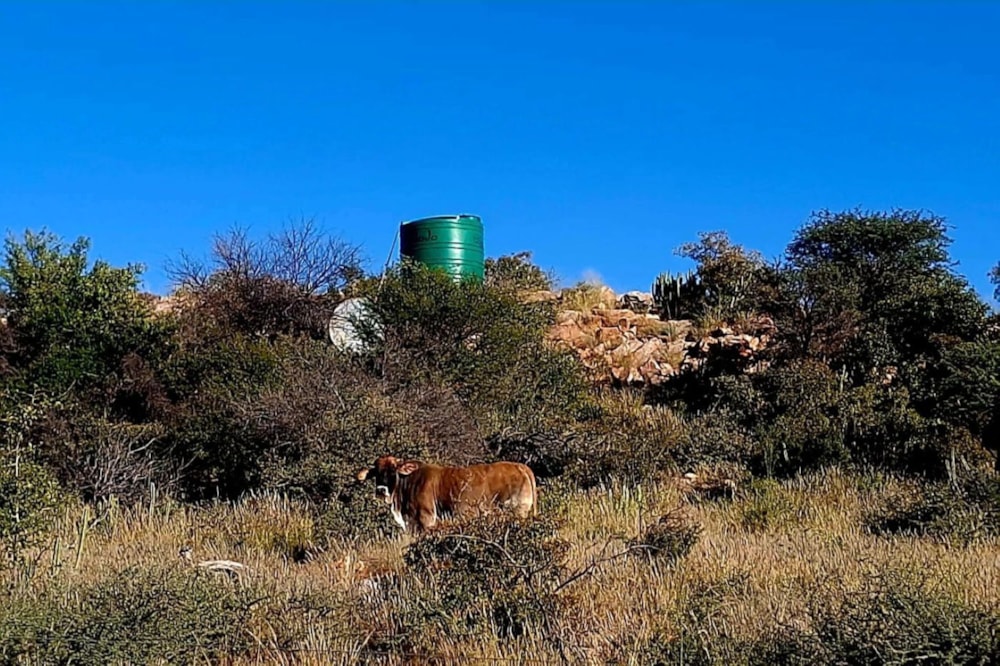 Farm vacant land for sale in Olifantshoek - 1RN1724222 Farm vacant land for sale in Olifantshoek - 1RN1724222