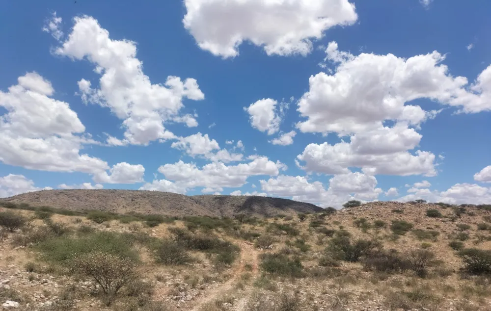 Livestock farm for sale in Groblershoop Farms - 1KAH1724223 Livestock farm for sale in Groblershoop Farms - 1KAH1724223
