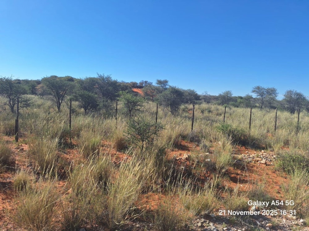 Livestock farm for sale in Groblershoop Farms - 1KAH1724223 Livestock farm for sale in Groblershoop Farms - 1KAH1724223
