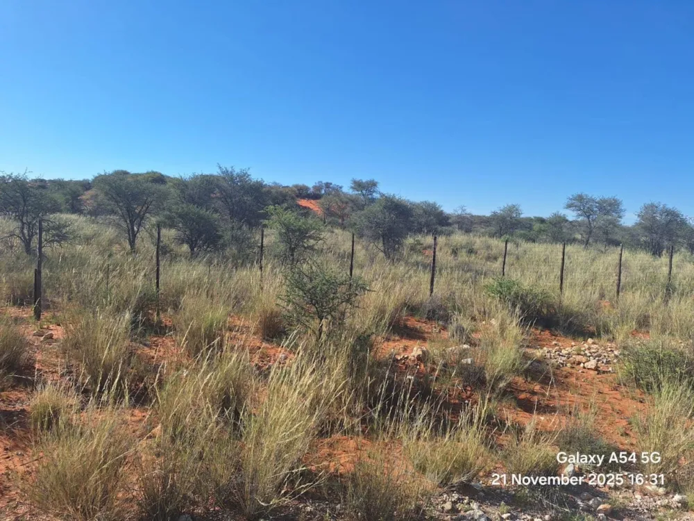 Livestock farm for sale in Groblershoop Farms - 1KAH1724223 Livestock farm for sale in Groblershoop Farms - 1KAH1724223