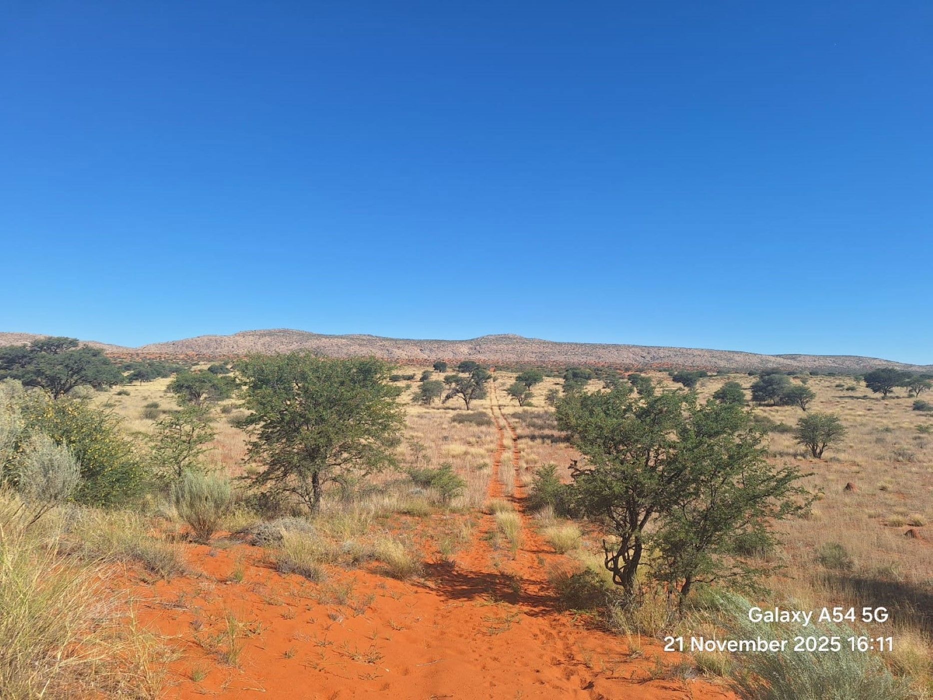 Livestock farm for sale in Groblershoop Farms - 1KAH1724223