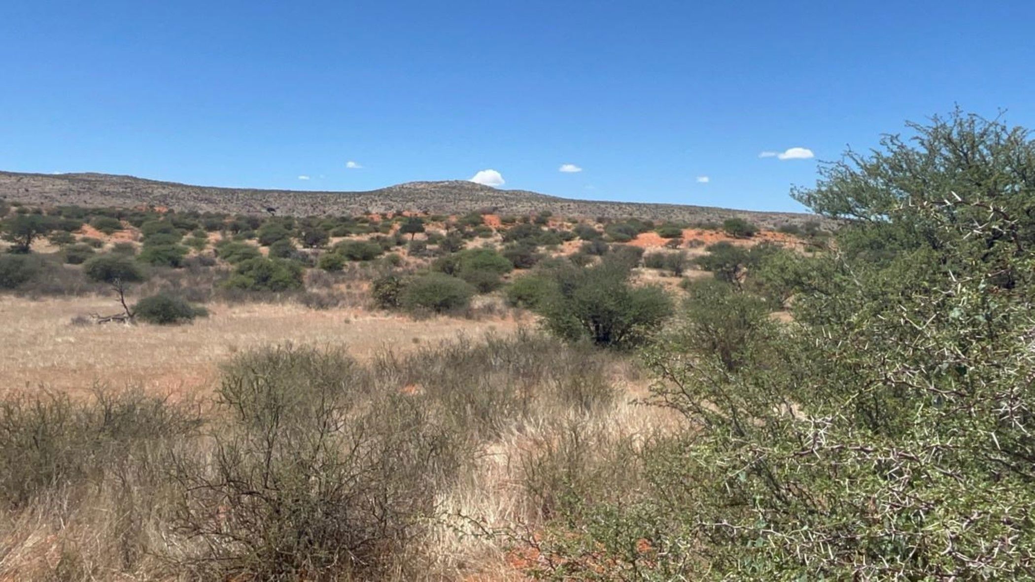 Livestock farm for sale in Groblershoop Farms - 1KAH1724223