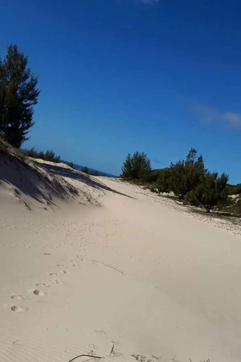 Vacant land for investment in Vilanculos, Mozambique - 3MQ1724227 Vacant land for investment in Vilanculos, Mozambique - 3MQ1724227