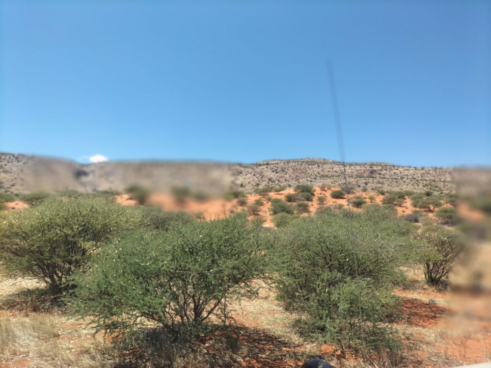 Livestock farm for sale in Kalahari, Northern Cape - 1KAH1724236 Livestock farm for sale in Kalahari, Northern Cape - 1KAH1724236