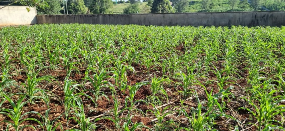 Vacant land for sale in Nyari, Kenya - 3KE1724324 Vacant land for sale in Nyari, Kenya - 3KE1724324