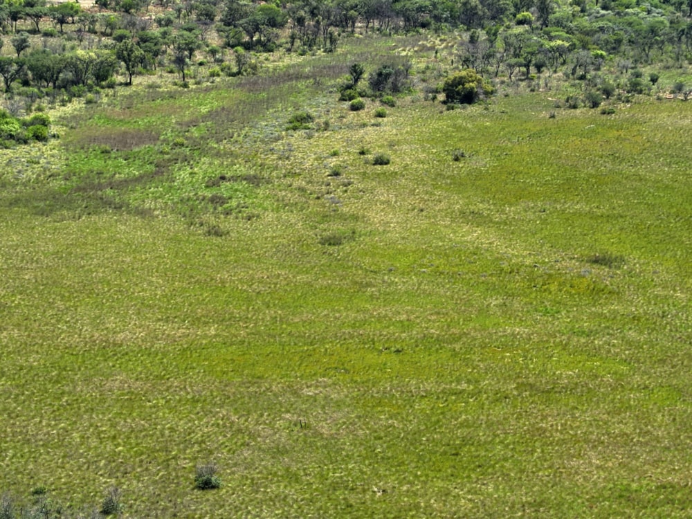 Game farm for sale in Lephalale Rural - 1ER1724283 Game farm for sale in Lephalale Rural - 1ER1724283