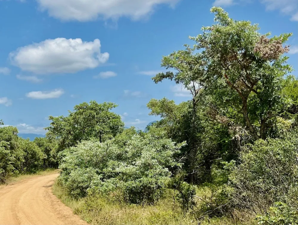 Vacant land for sale in Moditlo Nature Reserve - 1HS1724322