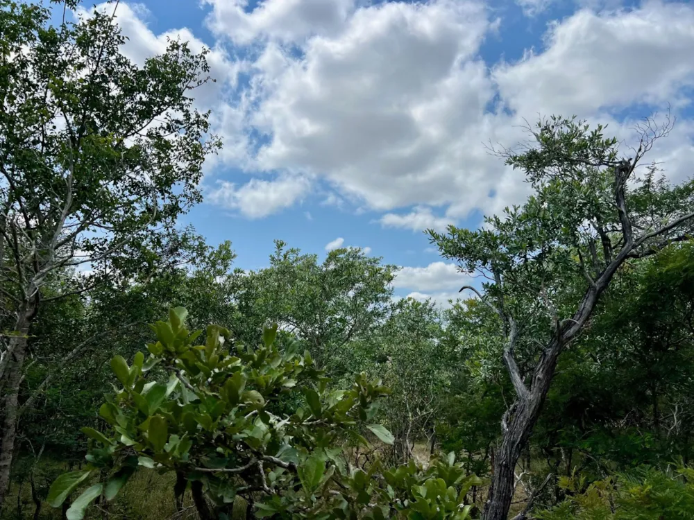 Vacant land for sale in Moditlo Nature Reserve - 1HS1724322