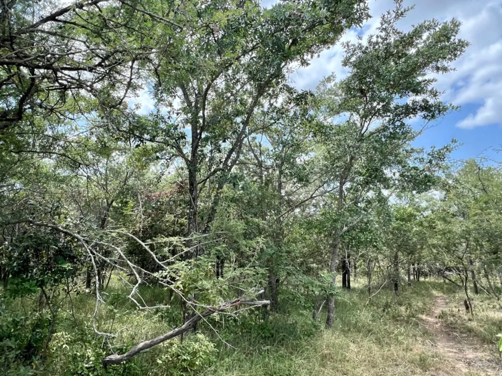 Vacant land for sale in Moditlo Nature Reserve - 1HS1724322
