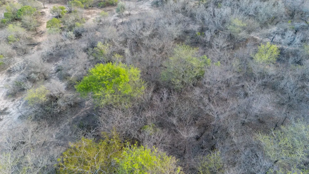 Vacant land for sale in Moditlo Nature Reserve - 1HS1724322