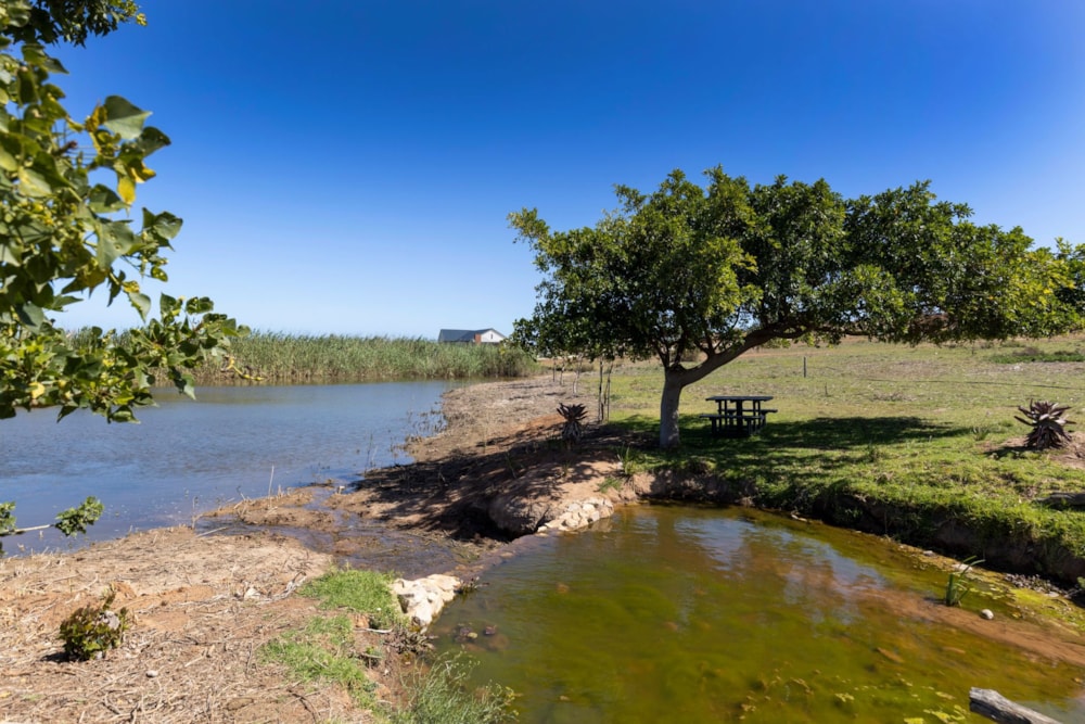 Residential vacant land for sale in Outeniquasbosch Wildlife Village - 1MB1724362 Residential vacant land for sale in Outeniquasbosch Wildlife Village - 1MB1724362