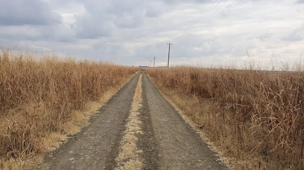Smallholding for sale in Vaaldam SH - 1VT1724505