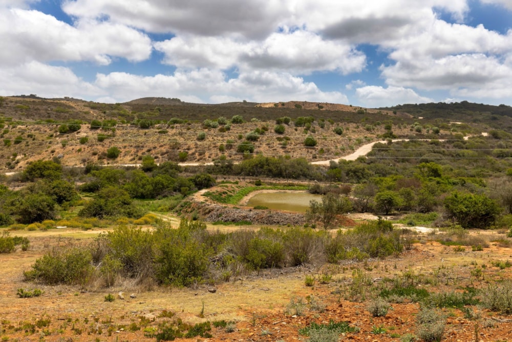 Residential vacant land for sale in Outeniquasbosch Wildlife Village - 1MB1724490 Residential vacant land for sale in Outeniquasbosch Wildlife Village - 1MB1724490