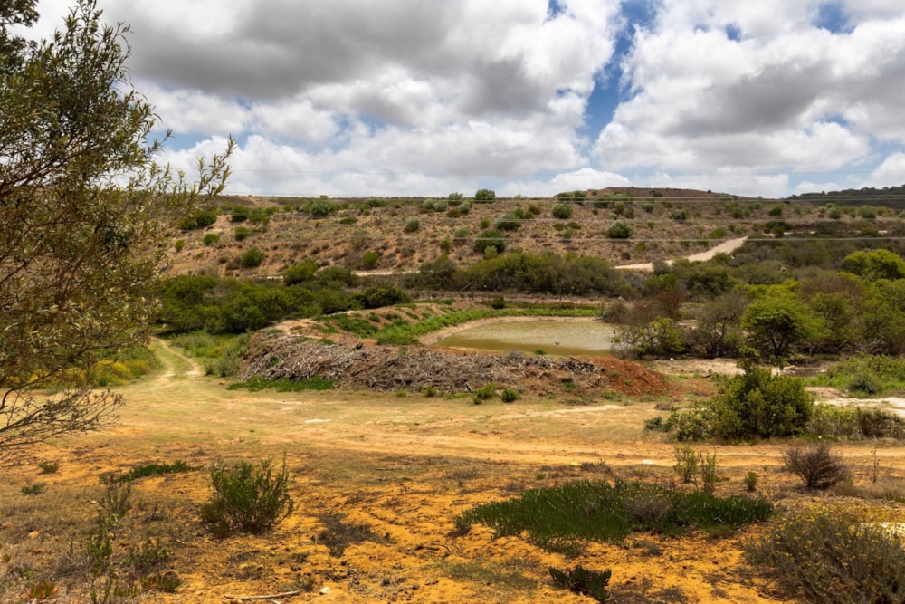 Residential vacant land for sale in Outeniquasbosch Wildlife Village - 1MB1724490 Residential vacant land for sale in Outeniquasbosch Wildlife Village - 1MB1724490