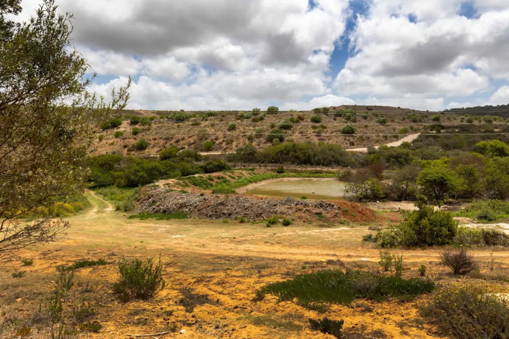 Residential vacant land for sale in Outeniquasbosch Wildlife Village - 1MB1724490 Residential vacant land for sale in Outeniquasbosch Wildlife Village - 1MB1724490