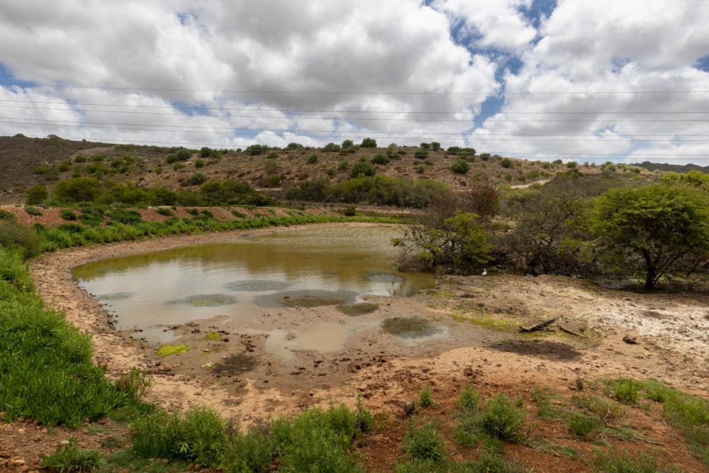 Residential vacant land for sale in Outeniquasbosch Wildlife Village - 1MB1724490 Residential vacant land for sale in Outeniquasbosch Wildlife Village - 1MB1724490