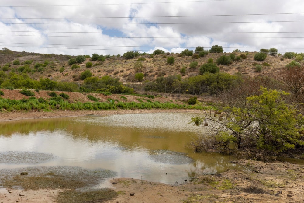 Residential vacant land for sale in Outeniquasbosch Wildlife Village - 1MB1724490 Residential vacant land for sale in Outeniquasbosch Wildlife Village - 1MB1724490