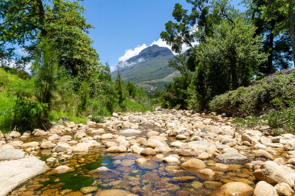 Wine farm for sale in Stellenbosch Farms - ST1724713 Wine farm for sale in Stellenbosch Farms - ST1724713