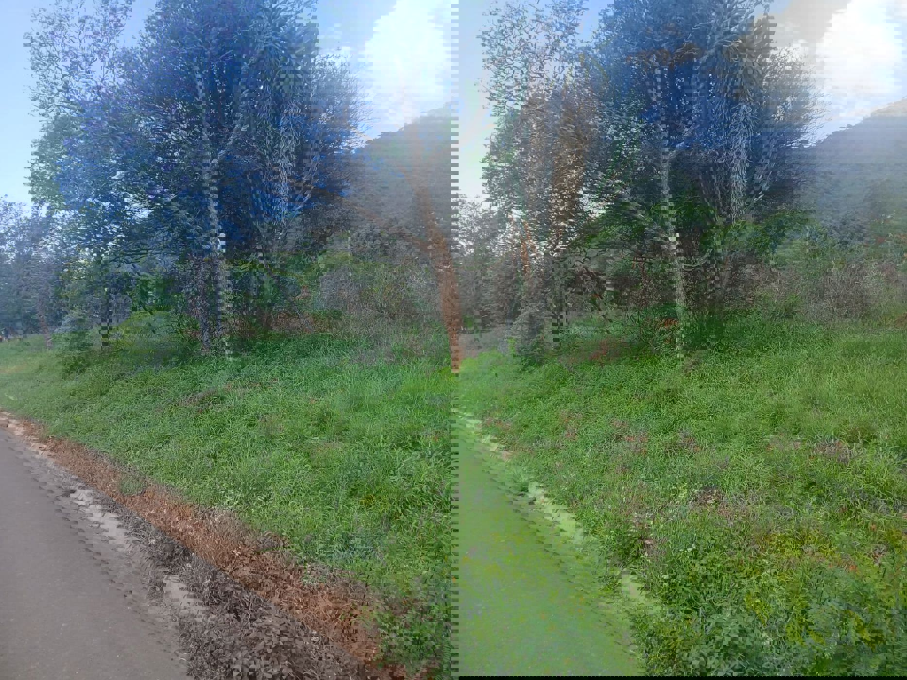 Vacant land for sale in Ohrigstad - 1LY1724855