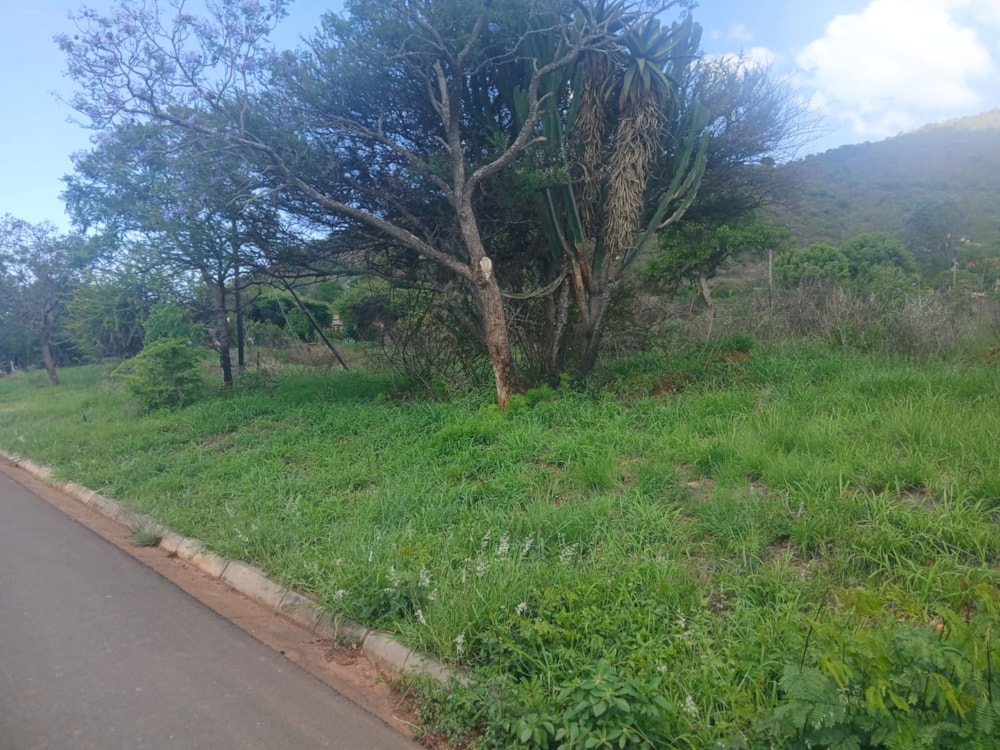 Vacant land for sale in Ohrigstad - 1LY1724855