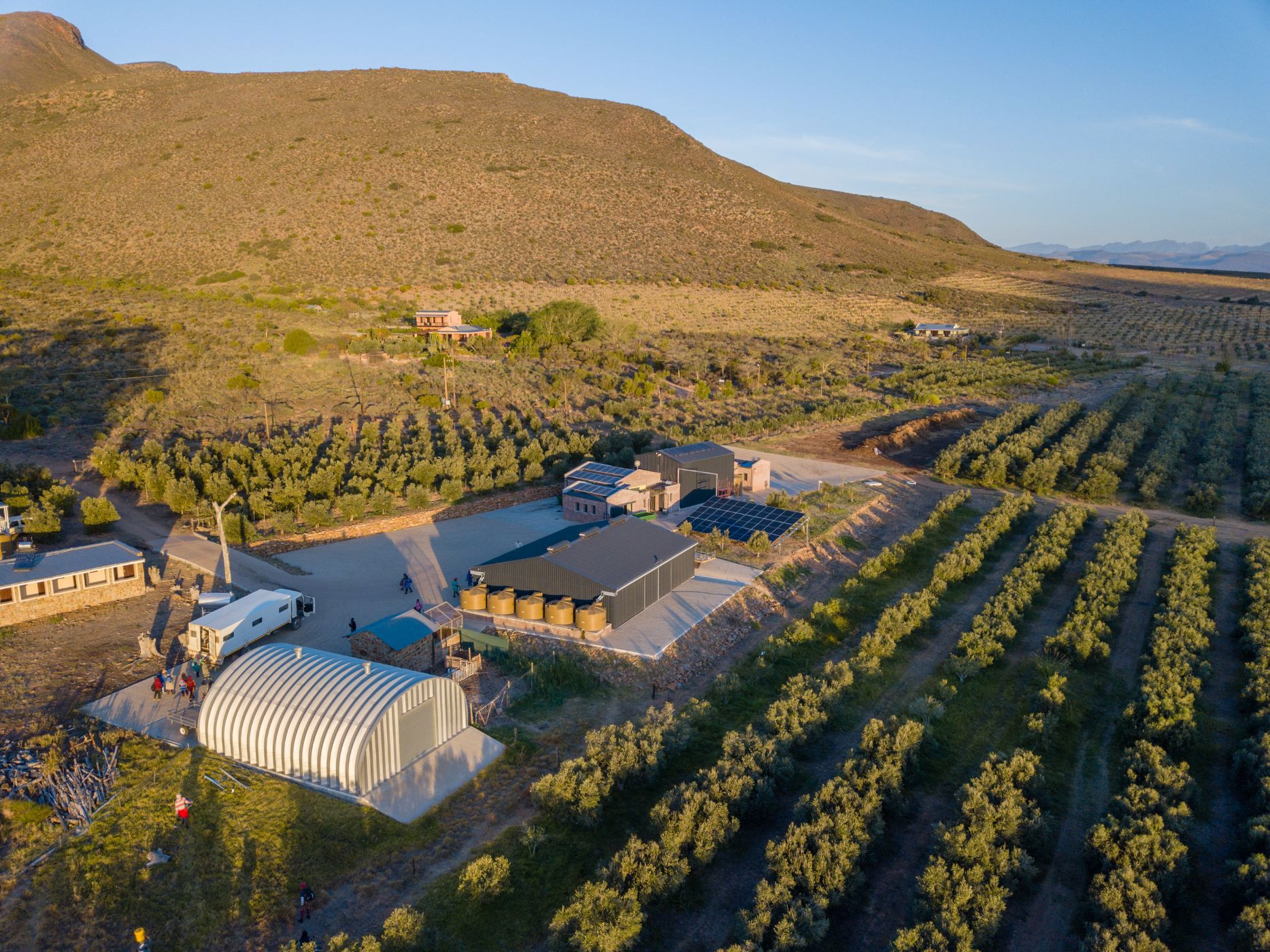 Olive farm for sale in Robertson Rural - ROB1724900