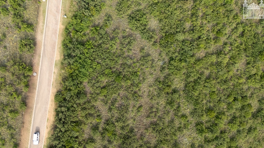 Vacant land for sale in Clarens - 1CS1724906