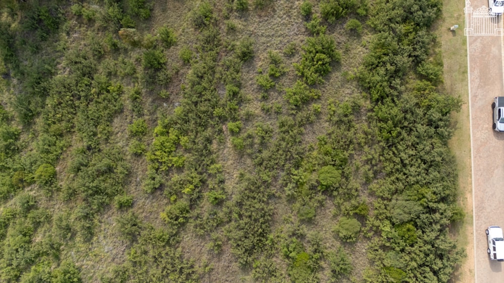 Vacant land for sale in Clarens - 1CS1724907