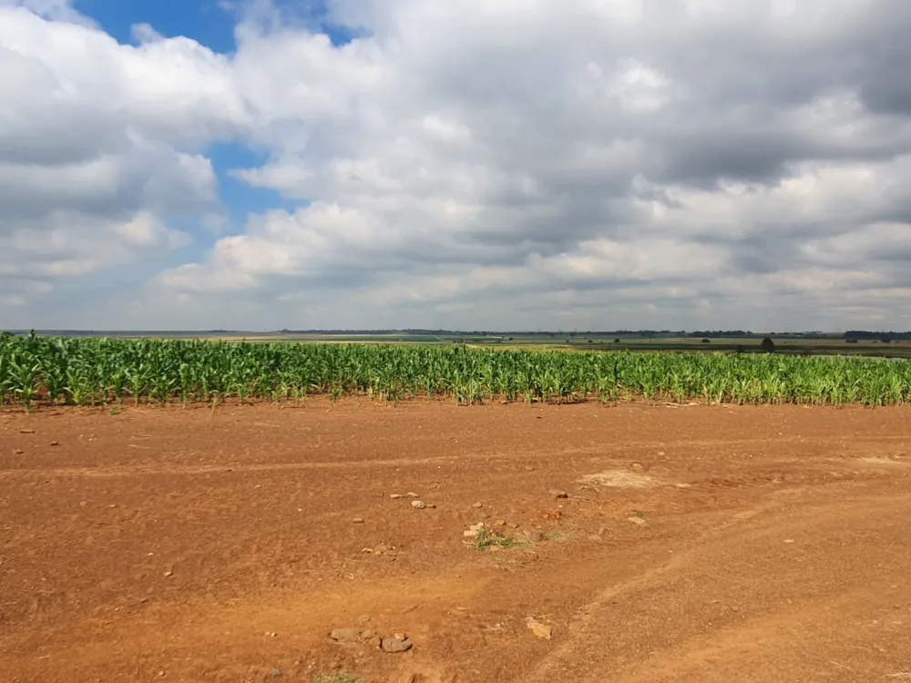 Maize farm for sale in Vanderbijlpark - 1VT1724942 Maize farm for sale in Vanderbijlpark - 1VT1724942