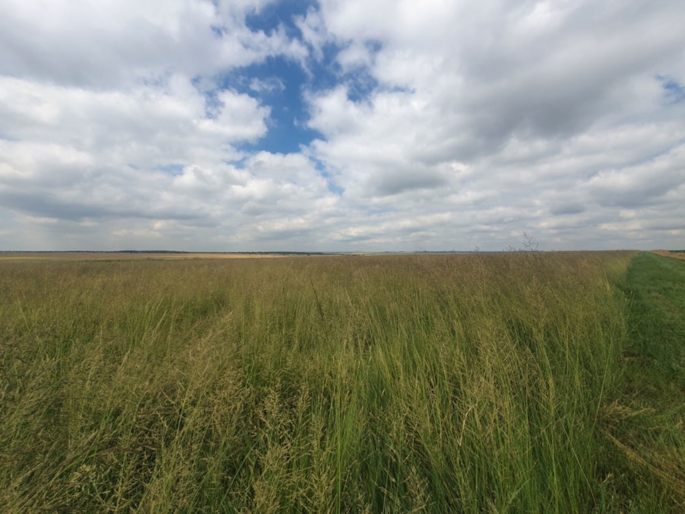 Maize farm for sale in Vanderbijlpark - 1VT1724942