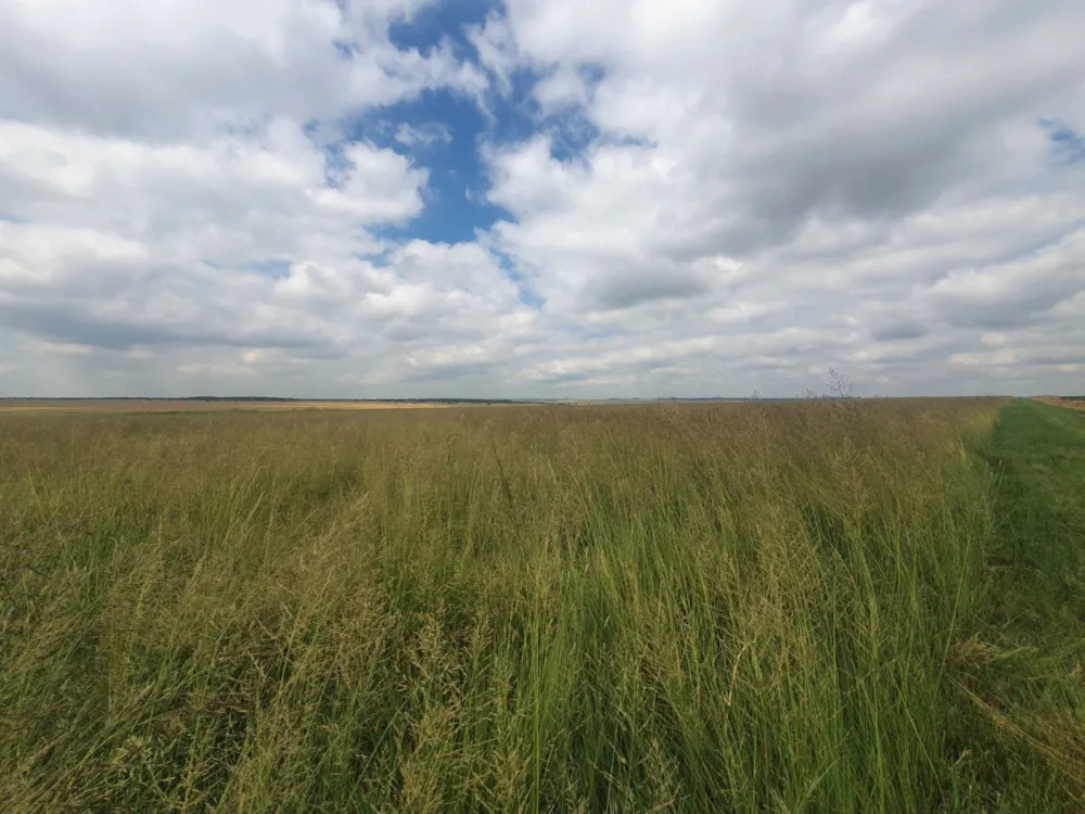 Maize farm for sale in Vanderbijlpark - 1VT1724942 Maize farm for sale in Vanderbijlpark - 1VT1724942