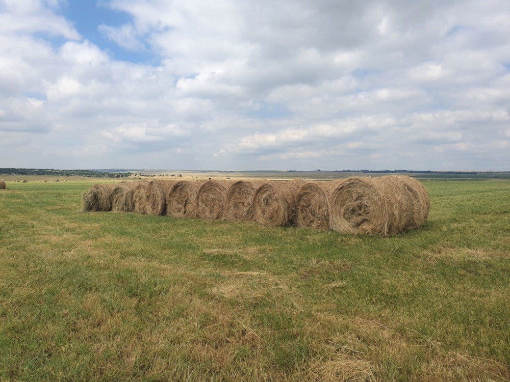 Maize farm for sale in Vanderbijlpark - 1VT1724942