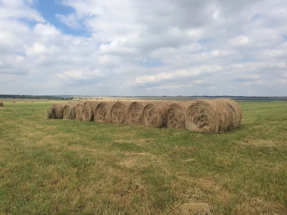 Maize farm for sale in Vanderbijlpark - 1VT1724942 Maize farm for sale in Vanderbijlpark - 1VT1724942