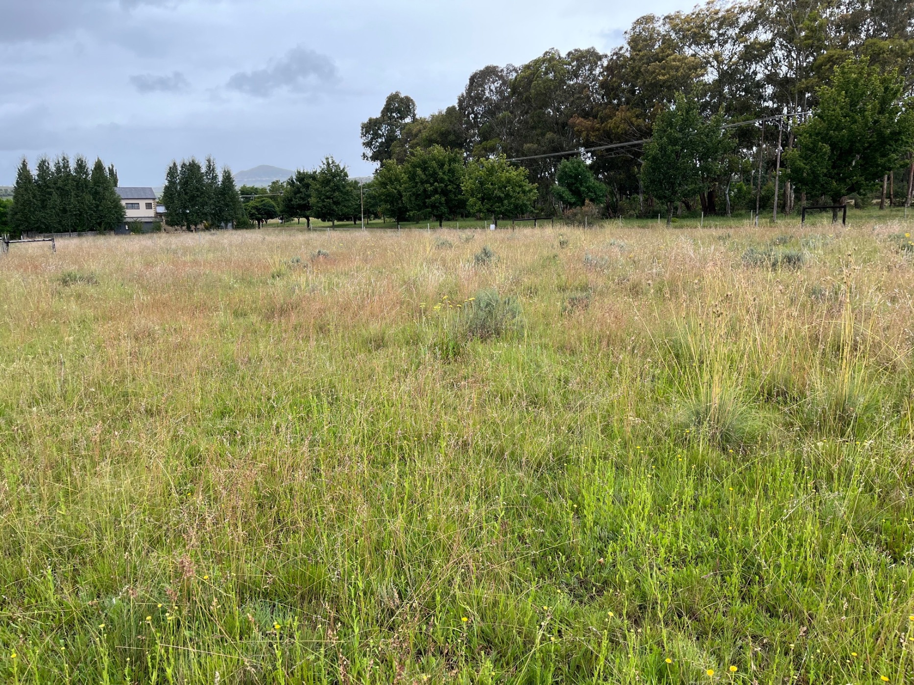 Vacant land for sale in Rosendal, Fouriesburg - 1CS1724943