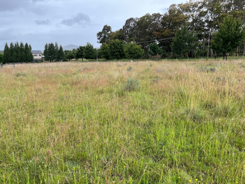 Vacant land for sale in Rosendal, Fouriesburg - 1CS1724943 Vacant land for sale in Rosendal, Fouriesburg - 1CS1724943