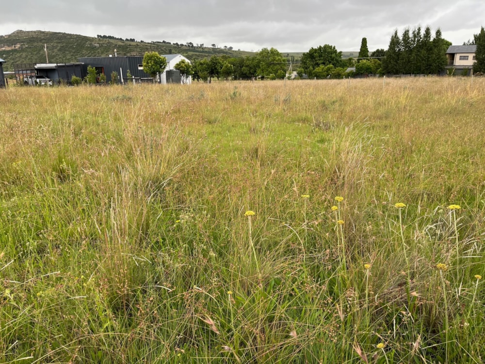 Vacant land for sale in Rosendal, Free State - 1CS1724943