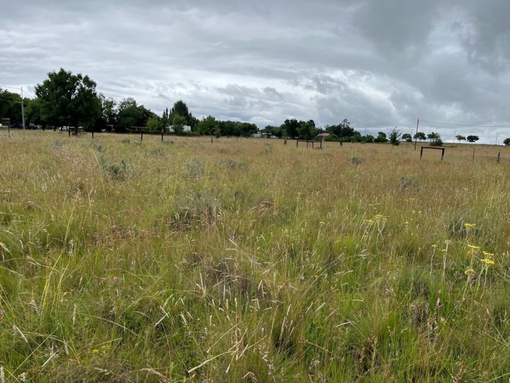 Vacant land for sale in Rosendal, Fouriesburg - 1CS1724943 Vacant land for sale in Rosendal, Fouriesburg - 1CS1724943