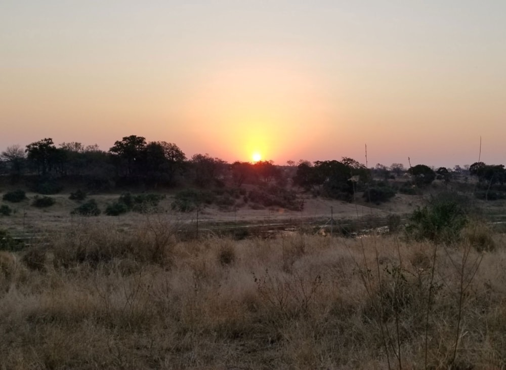 House for sale in Marloth Park - 1NK1725137