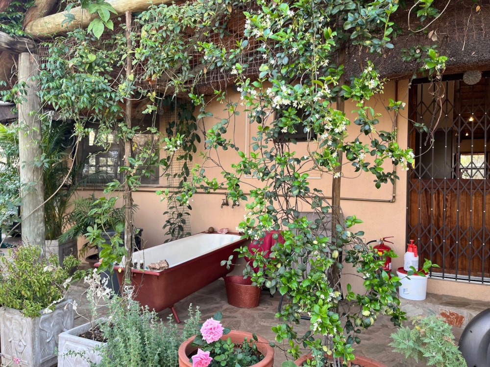 Game farm for sale in Grietjie - 1HS1725015 Game farm for sale in Grietjie - 1HS1725015