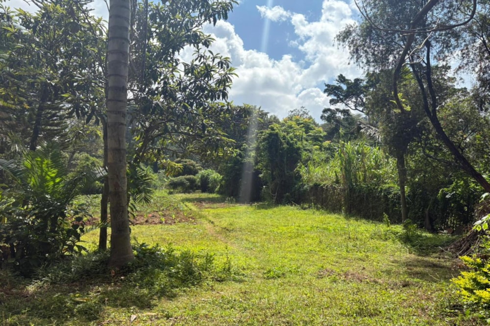 Residential vacant land for sale in Kyuna , Kenya - 3KE1725093