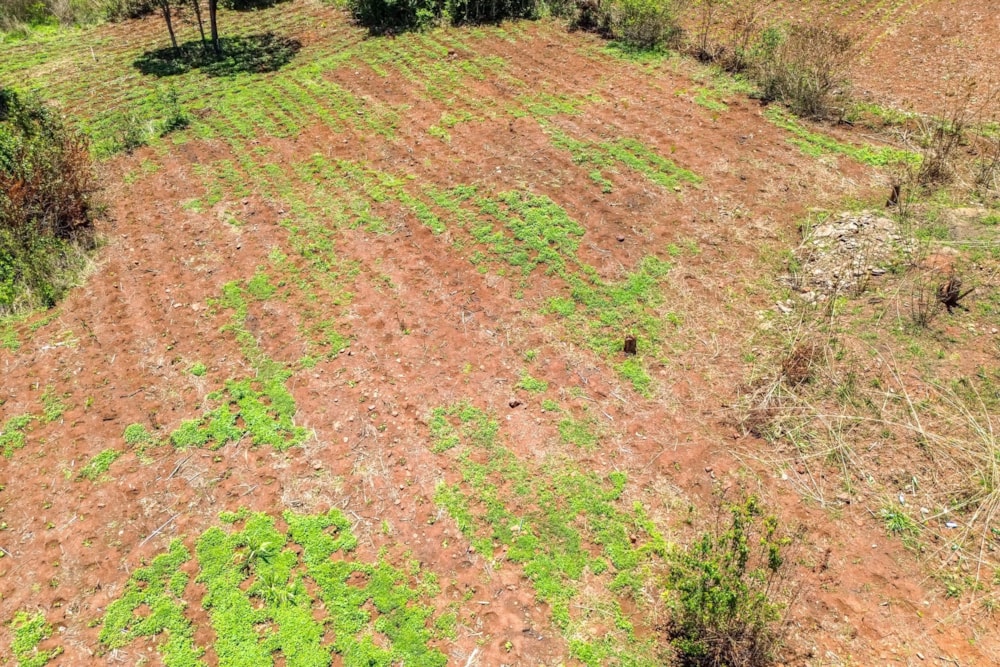 Residential vacant land for sale in Helensvale, Zimbabwe - 3ZB1725074