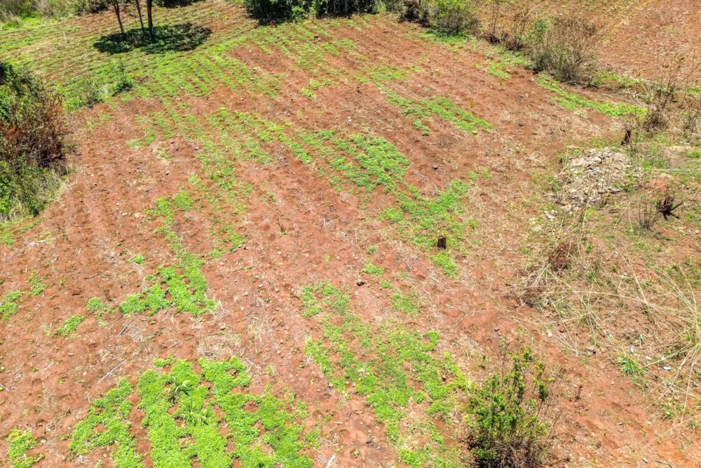 Residential vacant land for sale in Helensvale, Zimbabwe - 3ZB1725074 Residential vacant land for sale in Helensvale, Zimbabwe - 3ZB1725074