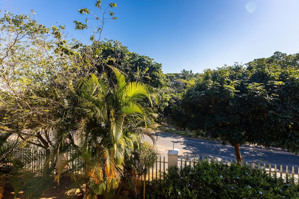 Apartment to rent in Mount Edgecombe - 1MT1725135 Apartment to rent in Mount Edgecombe - 1MT1725135